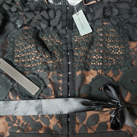 NWT Bryon Lars Anthropologie Carissima Sheath Dress Size 2 P Petite - Picture 5 of 11